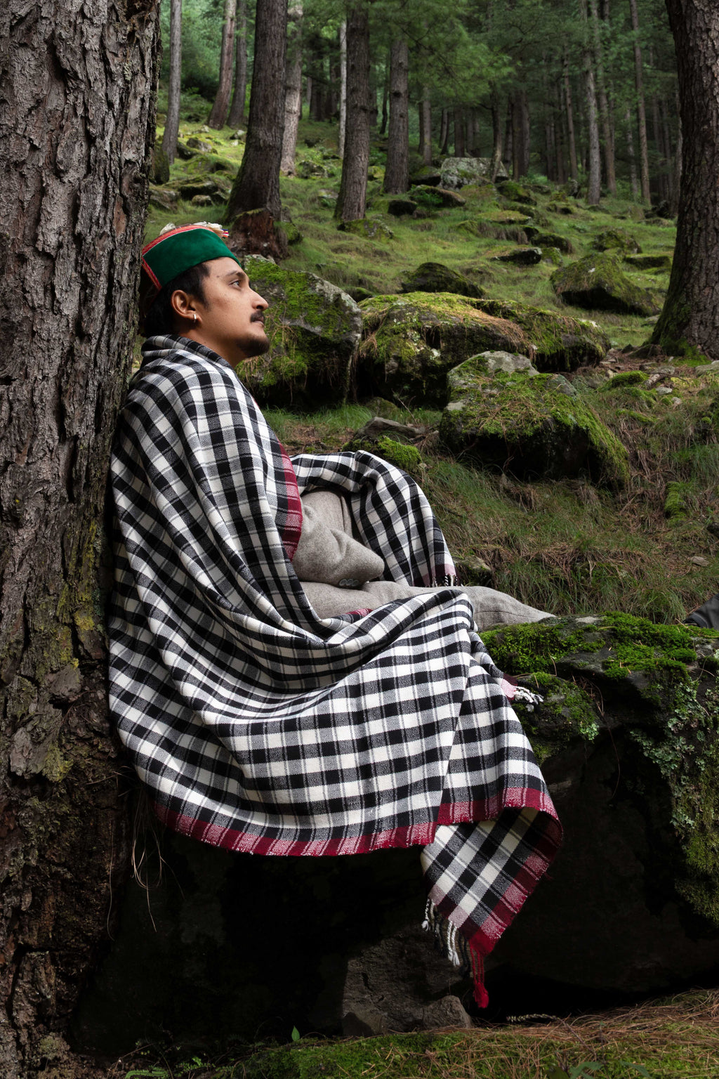 Pateele - Checkered Handwoven Kinnauri Shawl