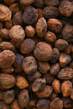 Kinnauri Khurmani / Dry Himalayan Apricot