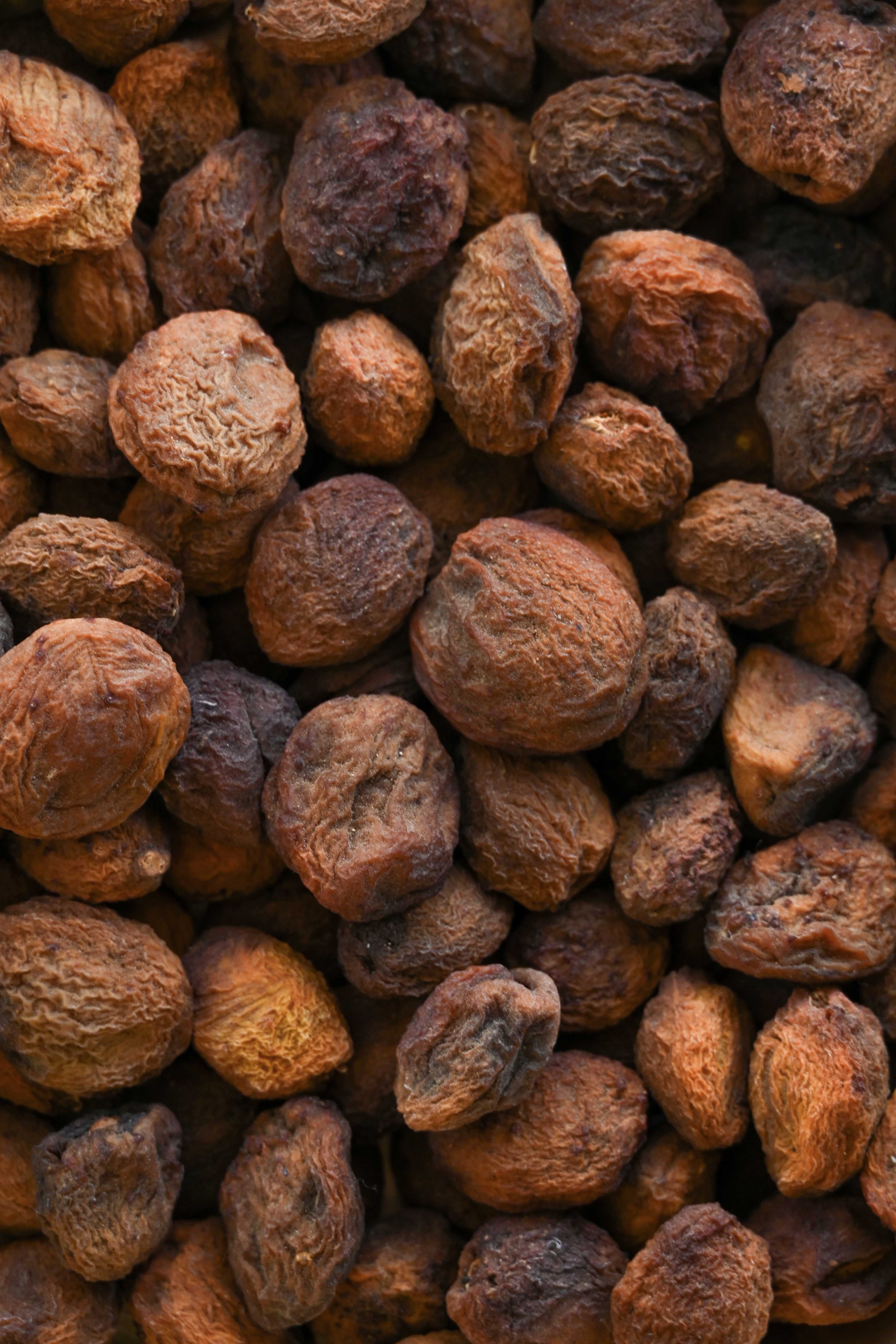 Kinnauri Khurmani / Dry Himalayan Apricot