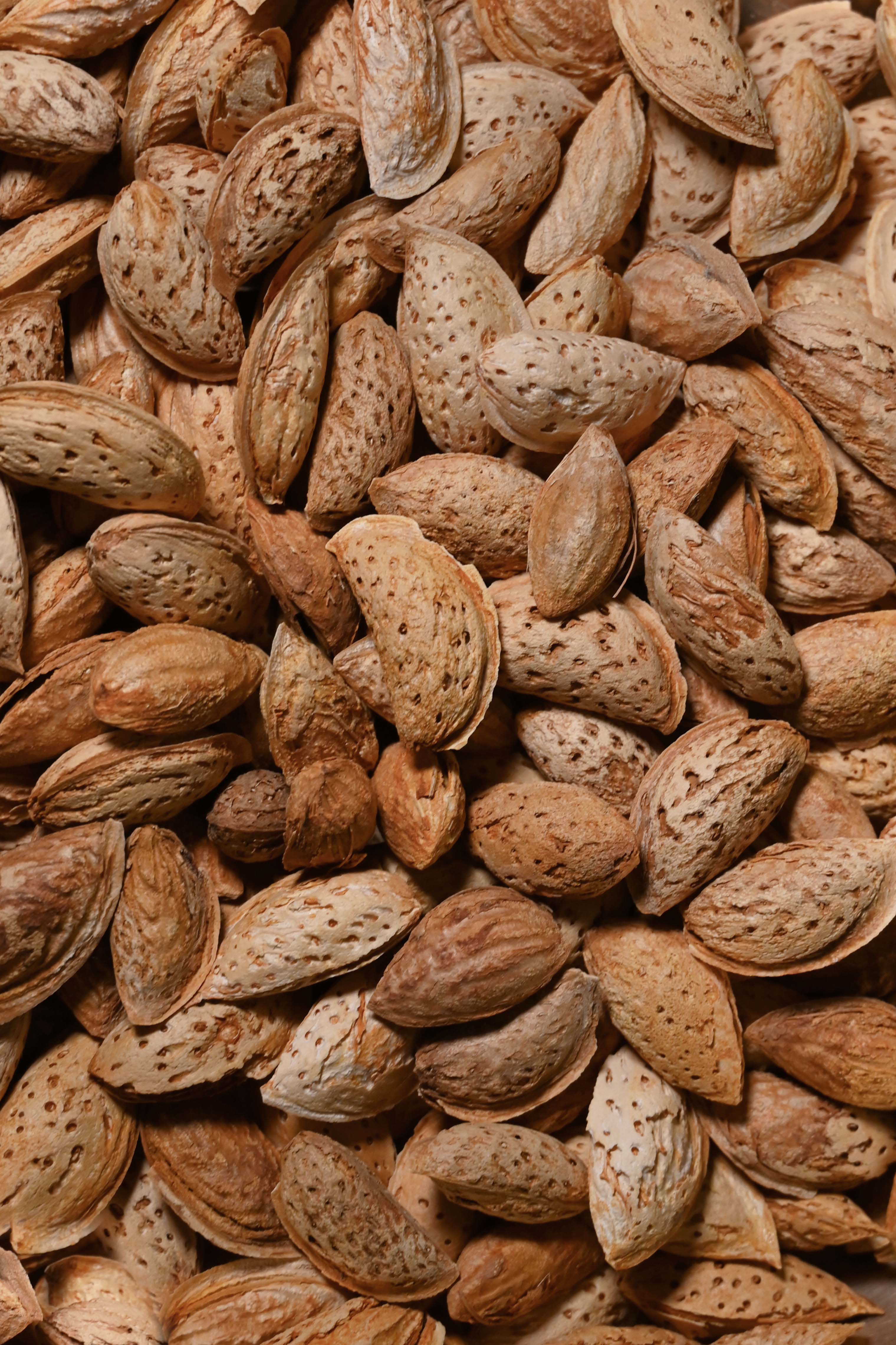 Kinnauri Kagazi Badam / Paper Shell Wild Almonds