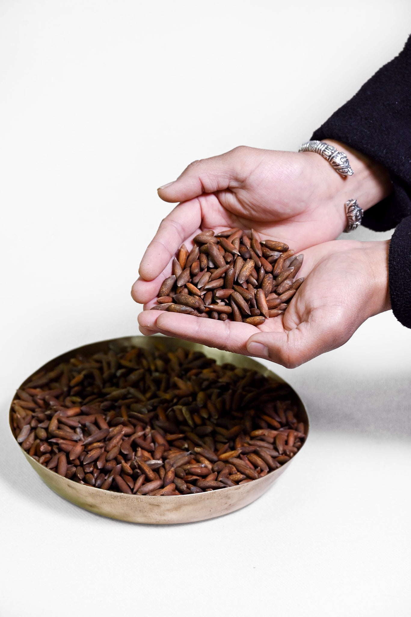 Kinnauri Chilgoza / Wild Himalayan Pine Nuts