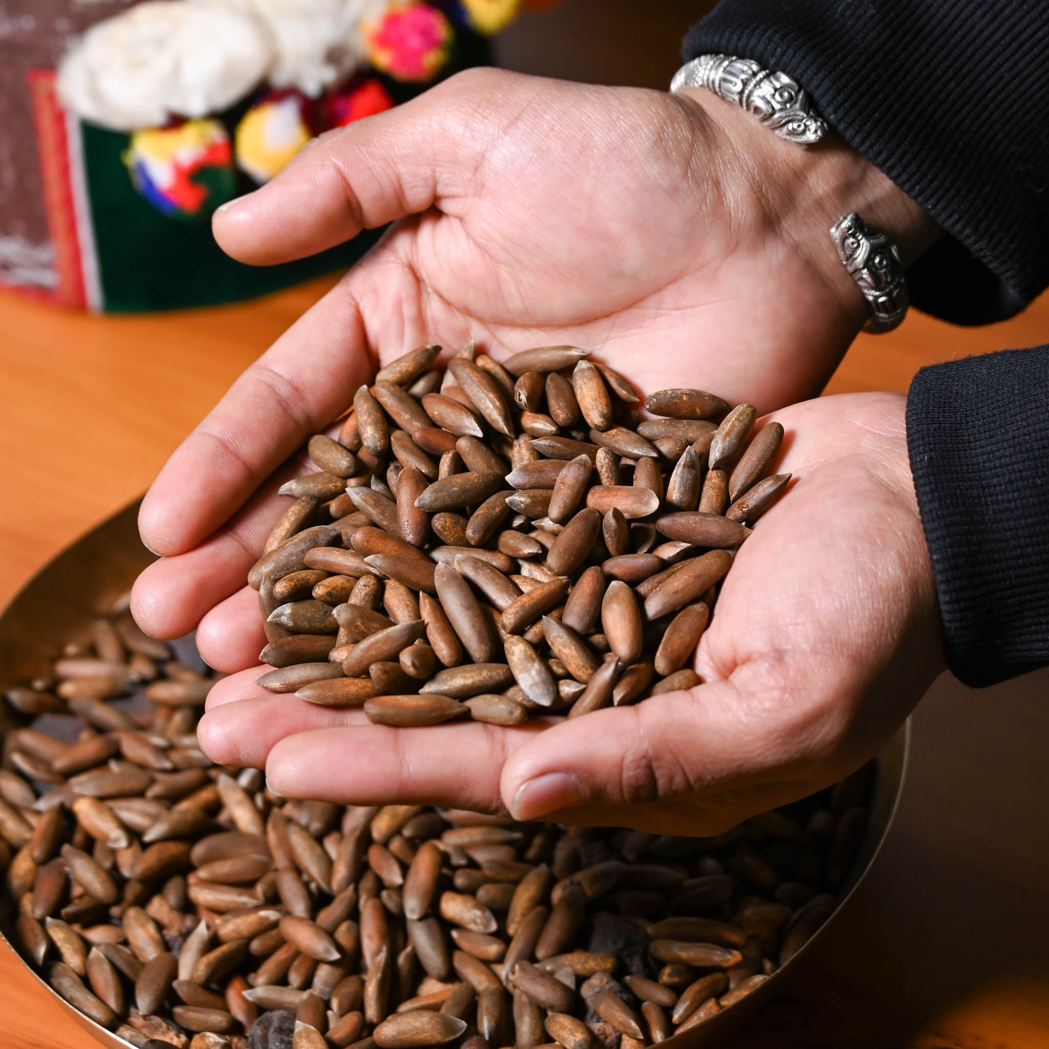 Kinnauri Chilgoza / Pine Nuts