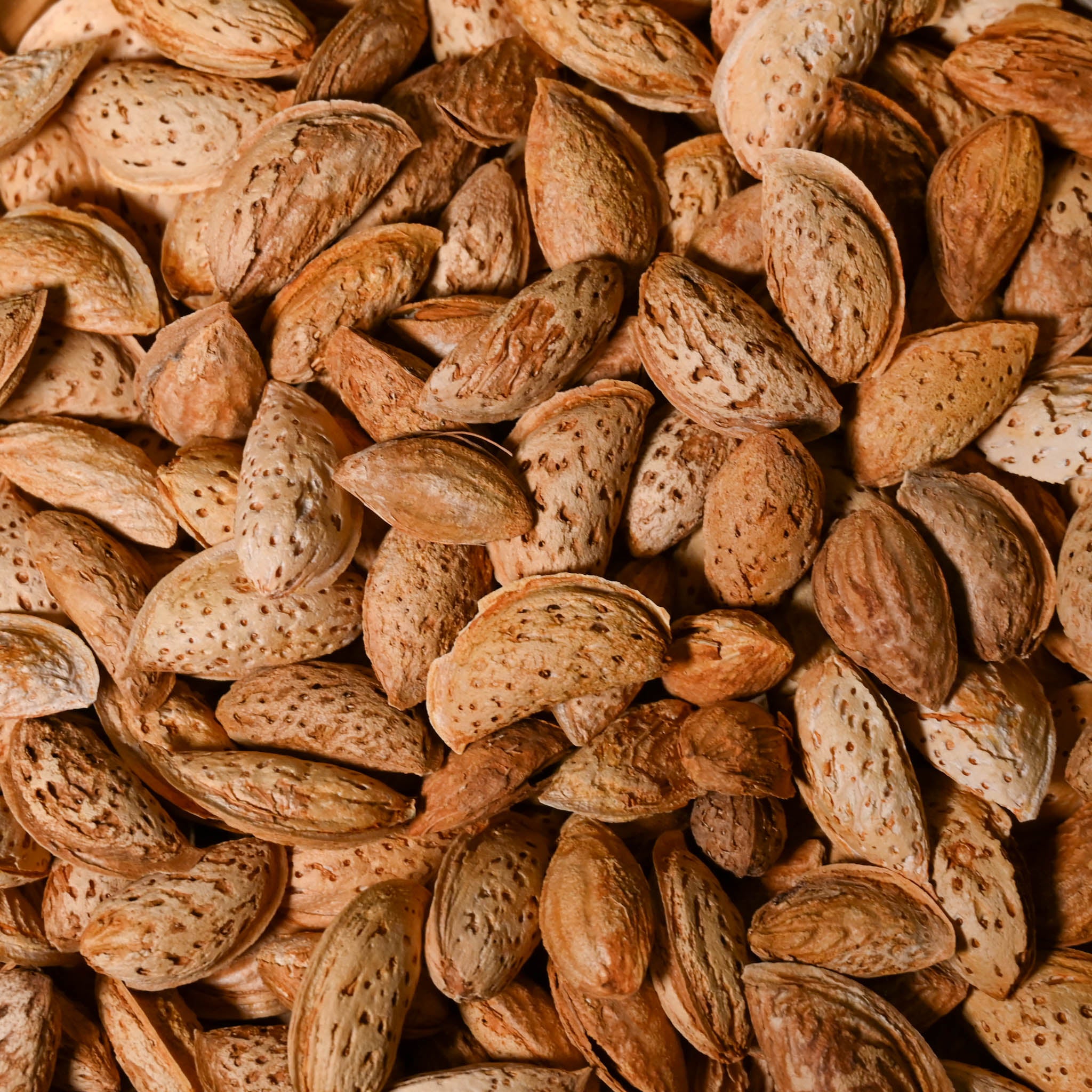 Kinnauri Kagazi Badam / Paper Shell Almonds