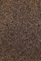 Kinnauri Kaala Jeera / Black Cumin