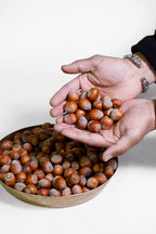 Dry Himalayan (Kinnaur) Chestnuts