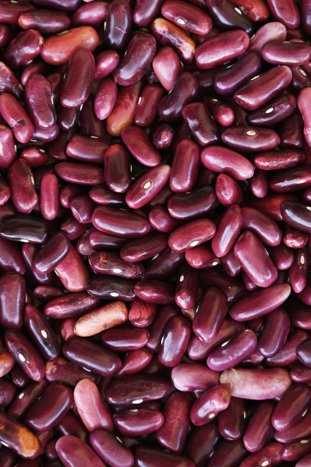 Kinnauri Red Rajma / Kidney Beans